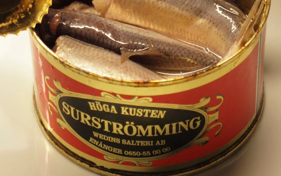 Surstrømning – hvad er det og hvorfor spiser svenskerne det?
