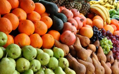 Billige måltidskasser – god mad til en fornuftig pris